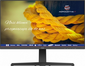 IIYAMA Monitor 28