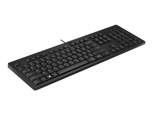 HP 125 Wired Mouse and Keyboard Combo-EURO (12 sztuk) [266C9A6]