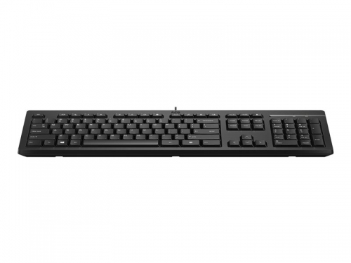 HP 125 Wired Mouse and Keyboard Combo-EURO (12 sztuk) [266C9A6]