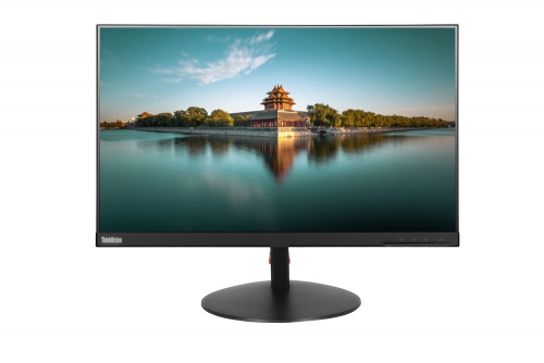 Lenovo Monitor 23.8 ThinkVision T24i-10 Wide FHD IPS [61CEMAT2EU]