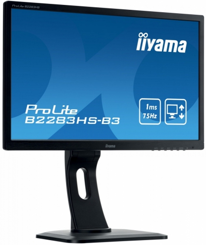 IIYAMA Monitor 21.5 ProLite [B2283HS-B3]