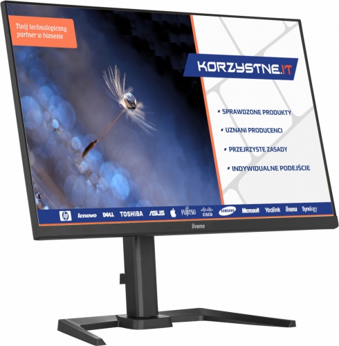 IIYAMA Monitor 24.5