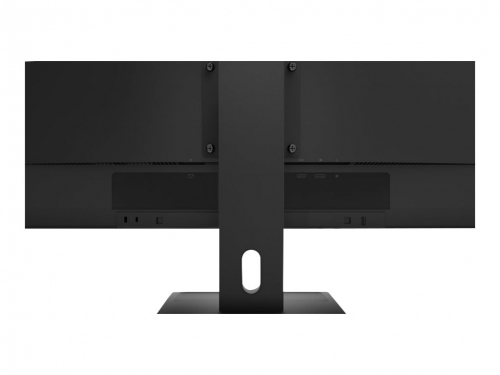 Monitor Lenovo ThinkVision E29w-20 29